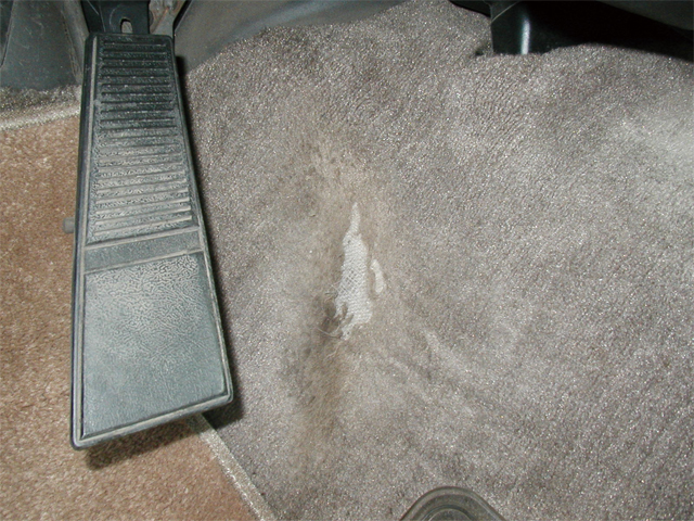 ���E�j��F��C/�C��/�C��/���y�A [116]