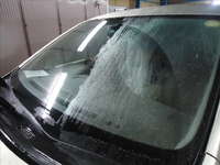 �E���R���i�t�����g�K���X�j [54]