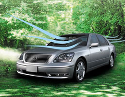 �g���l�[�h�o�L���[���@�v���~�A���i�ԓ����ہE�ԓ��R�ہE�ԓ����L �܂ށj [92]