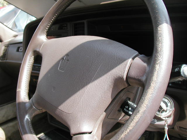 �X�e�A�����O�h���i���F�j [96]