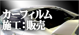 �J�[�t�C�����{�H