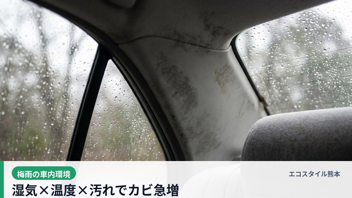 エコスタイル熊本 - 梅雨で天井とシートにカビが広がり窓が結露した車内 - 湿気・温度・汚れでカビが増える