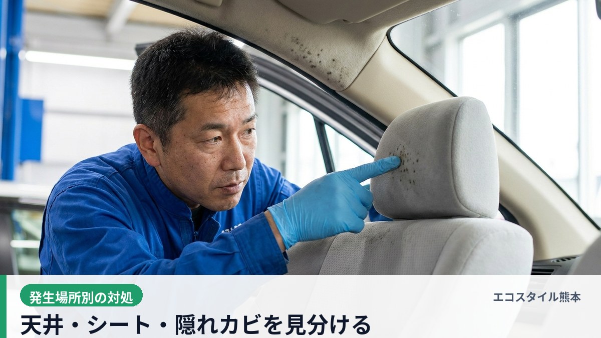 エコスタイル熊本 - 車のシートと天井のカビを発生場所別に点検する技術スタッフ - 梅雨の車内カビ対策