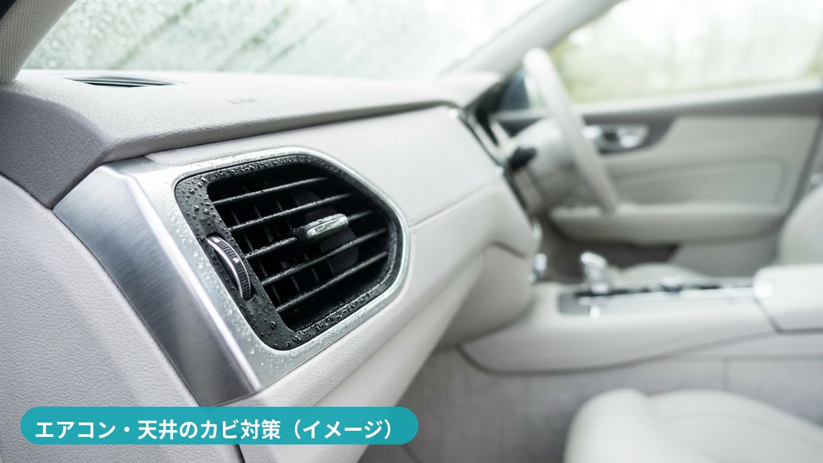 車のエアコン・天井のカビ対策（イメージ）
